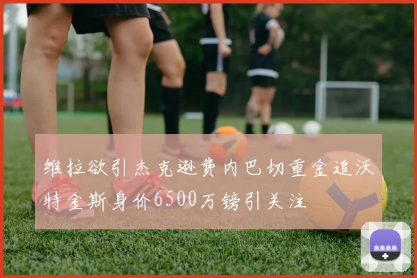 维拉欲引杰克逊费内巴切重金追沃特金斯身价6500万镑引关注