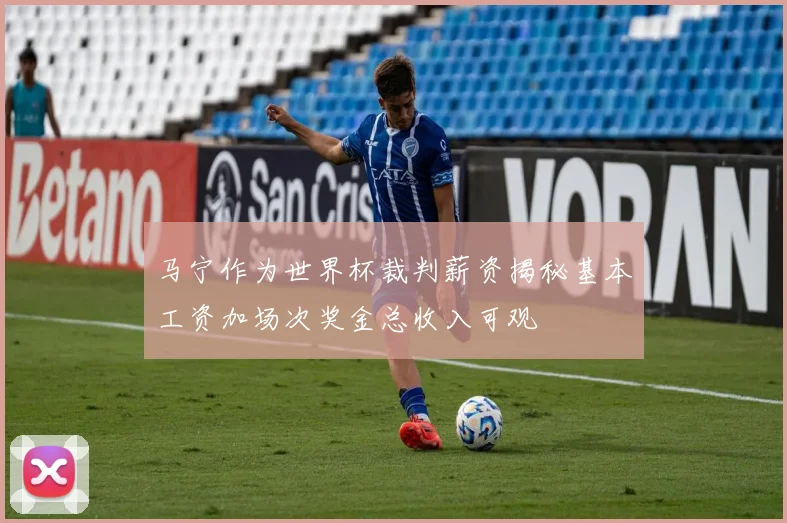 马宁作为世界杯裁判薪资揭秘基本工资加场次奖金总收入可观