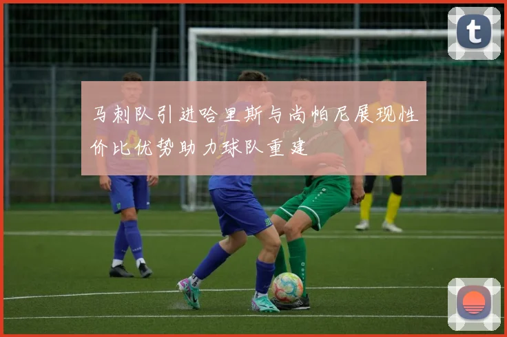 马刺队引进哈里斯与尚帕尼展现性价比优势助力球队重建
